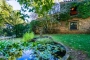 Garden pond (50-60 cm deep)